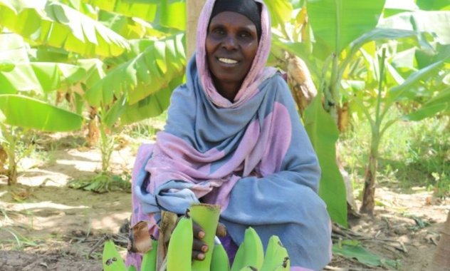 Promotion de l'agriculture à Kelafo en Éthiopie